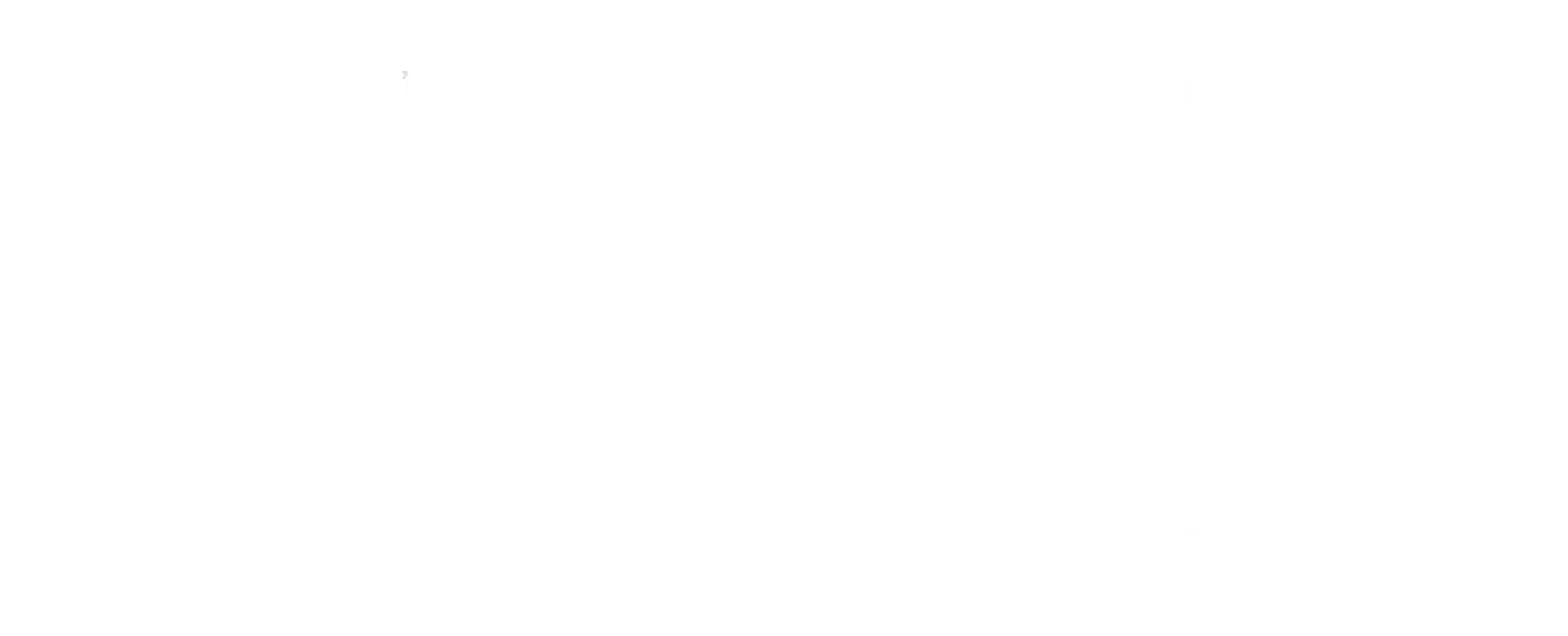Logo Partner