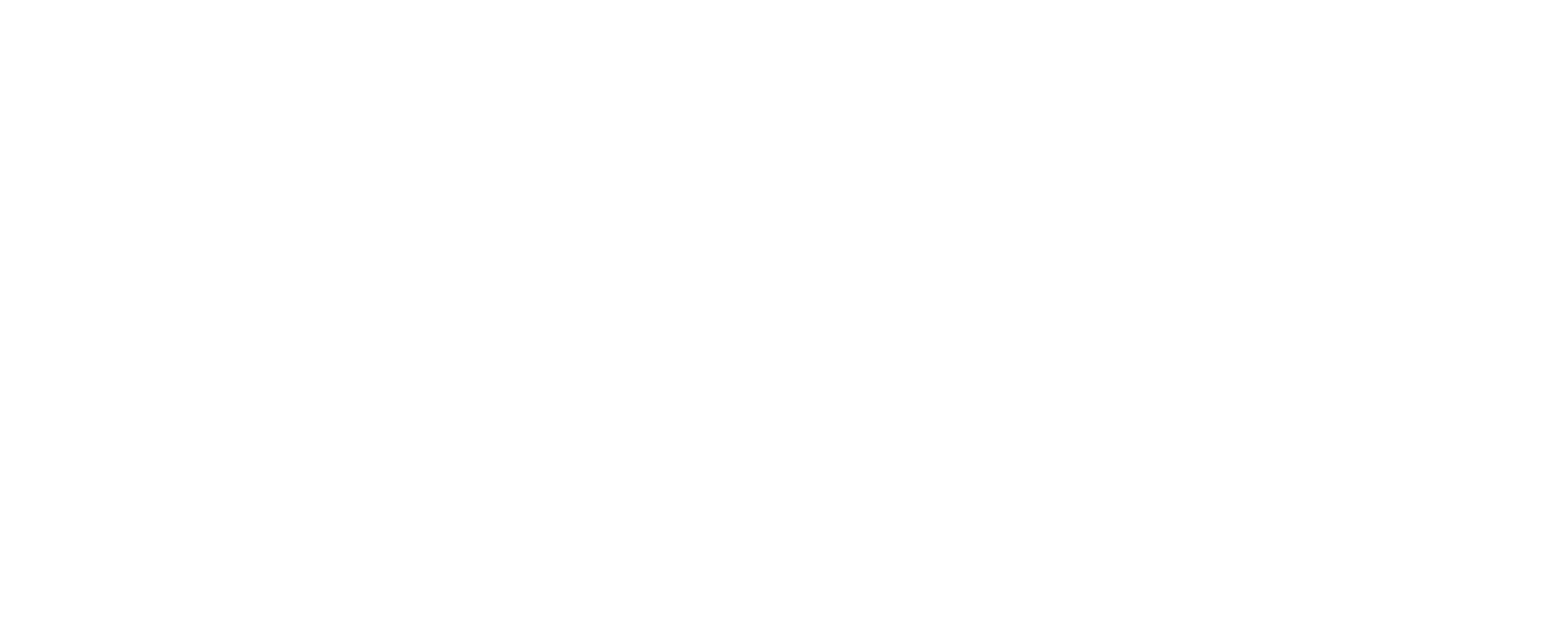 Logo Partner