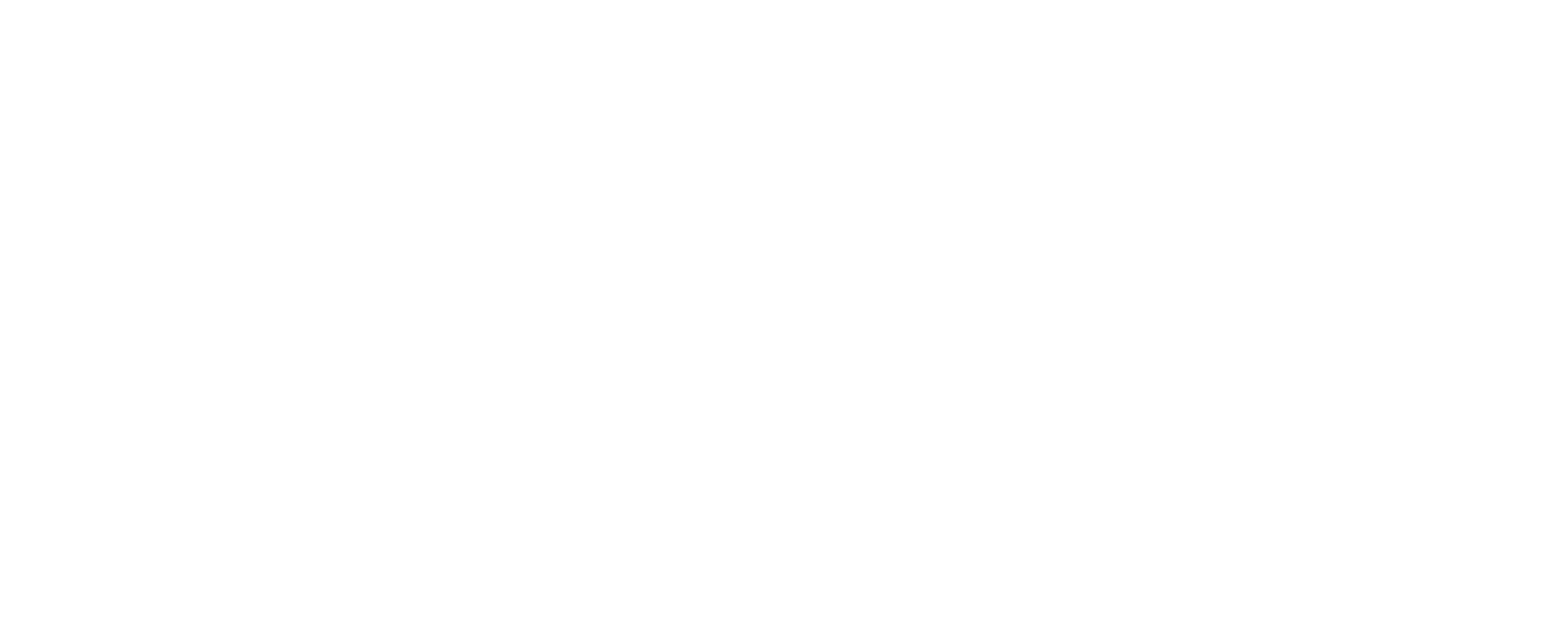 Logo Partner