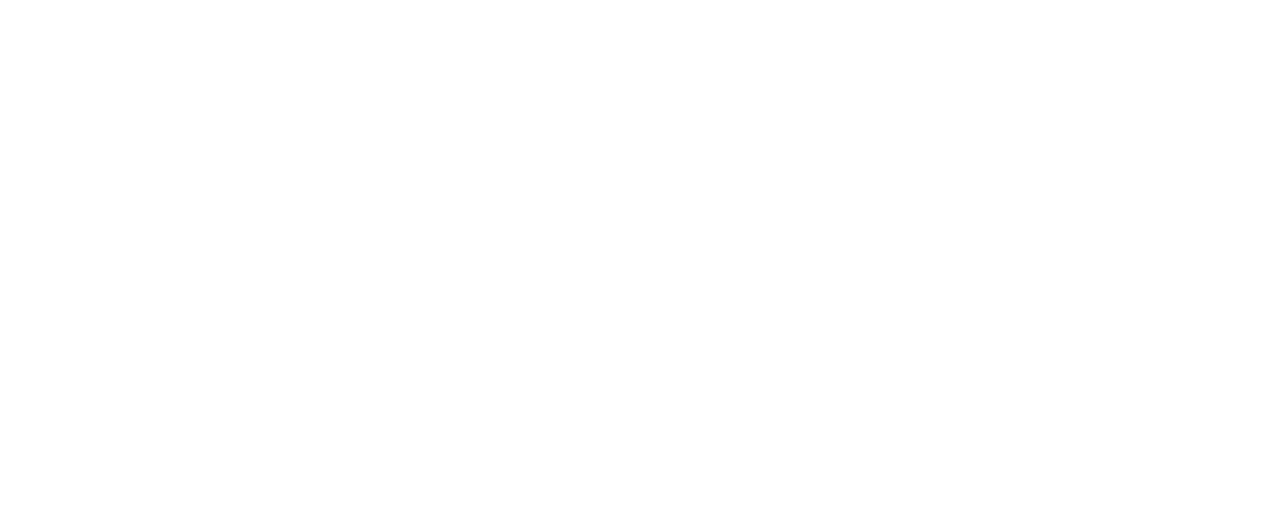 Logo Partner