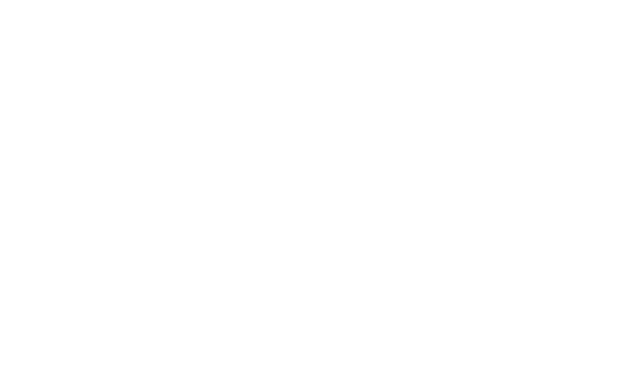 Logo Partner